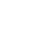 nautilus-shell